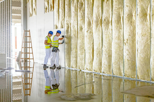 Best Eco-Friendly Insulation in Amarillo, TX